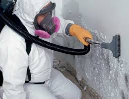 Best Mold Odor Removal Services  in South Lockport, NY